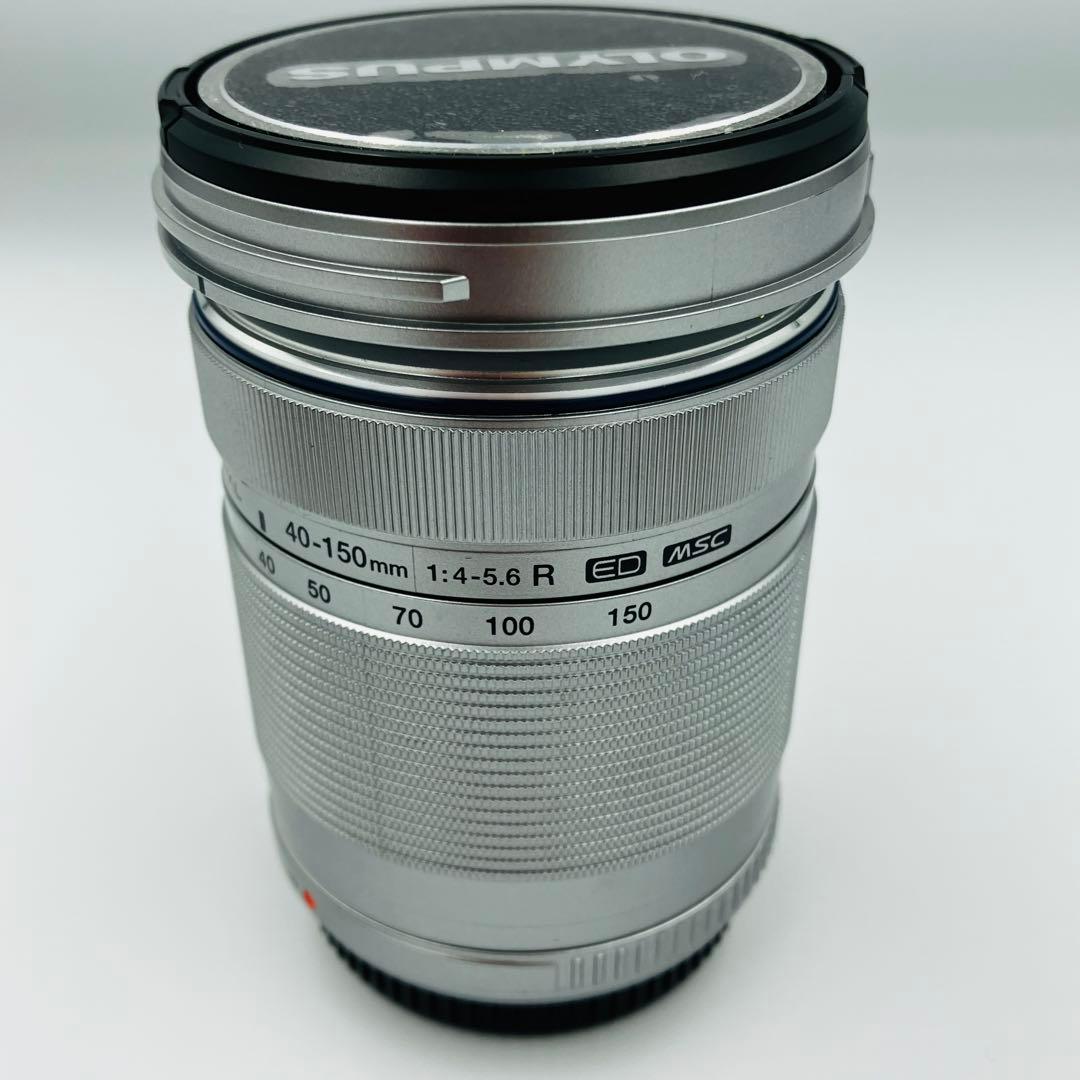 ヤマピー　OLYMPUS E-PL6 ダブルレンズ ミラーレス