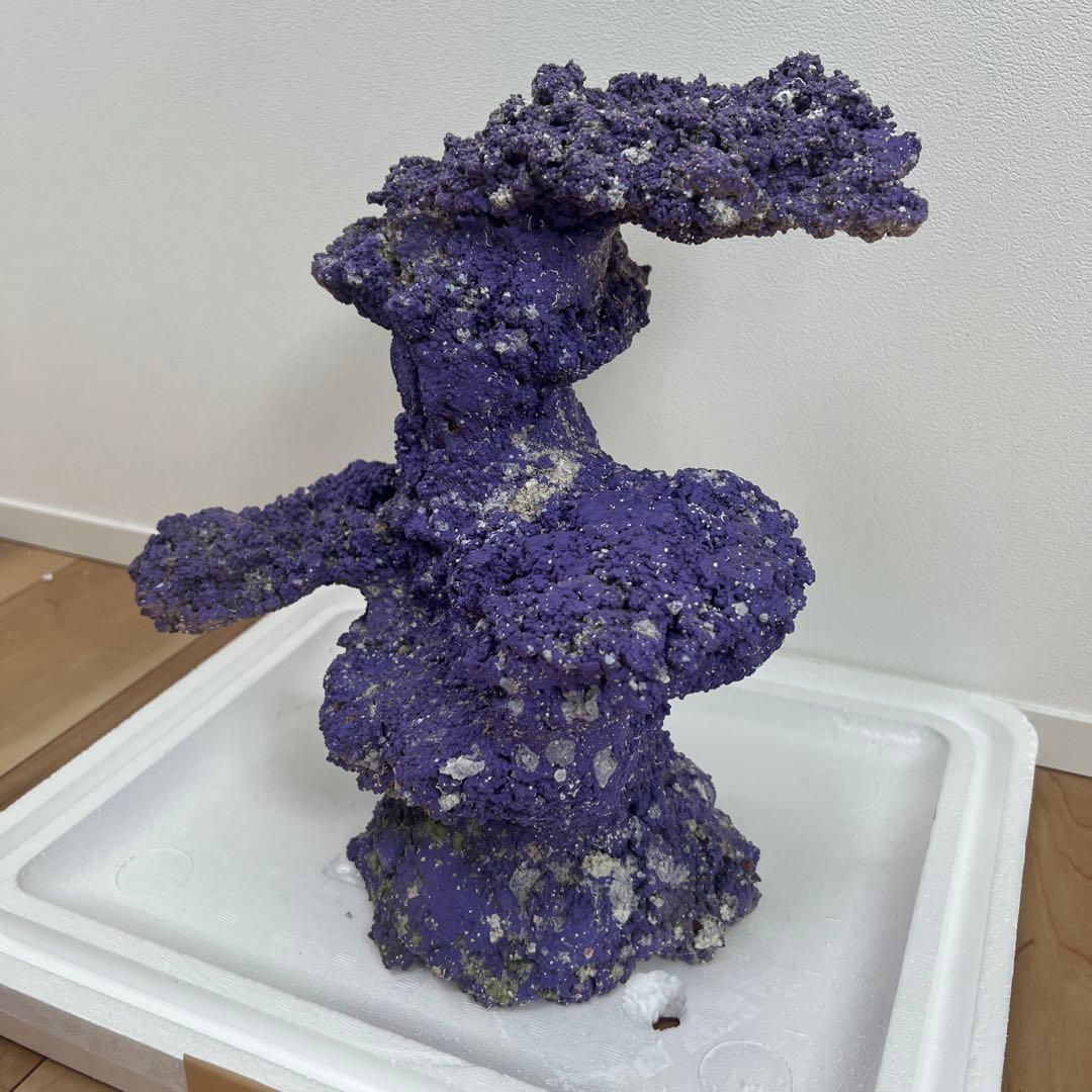 人口ライブロック 偽岩 レプリカライブロック サンゴ 人口 海水 水槽 ②
