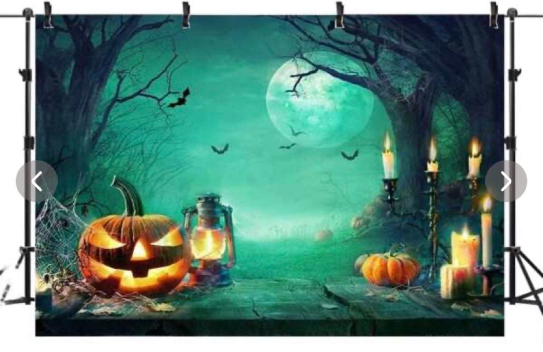 ✨1点限り✨バック紙 背景紙 ハロウィン✨