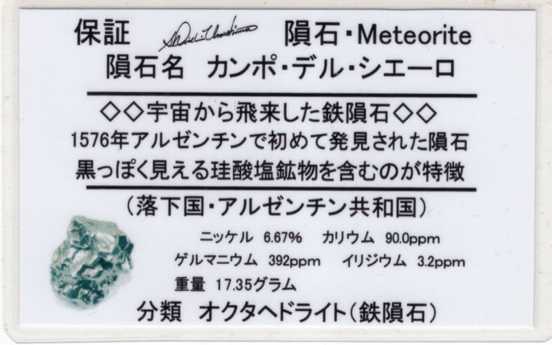 カンポデルシエロ隕石 隕石　原石　Campo Del Cielo 17.35g