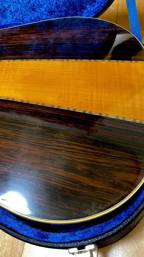 勇*悟様 値下げ希少❣人気種　1973年morris　W-40　ハカランダ！HC