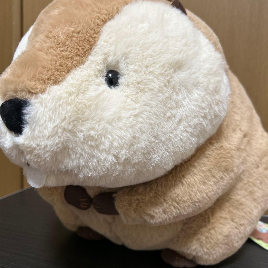 むっちりビーバーたっち ウルトラBIG 全3種類セット