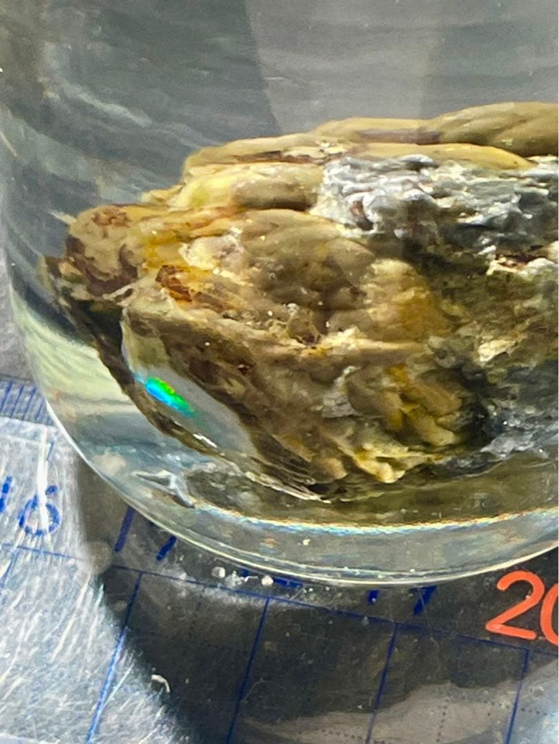 宝坂オパール　遊色セミブラックノジュール　原石　国産鉱物