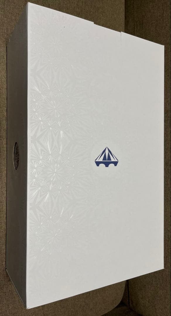 NIKE LEBRON 22EP ナイキ レブロン 30cm 替え紐 箱付き