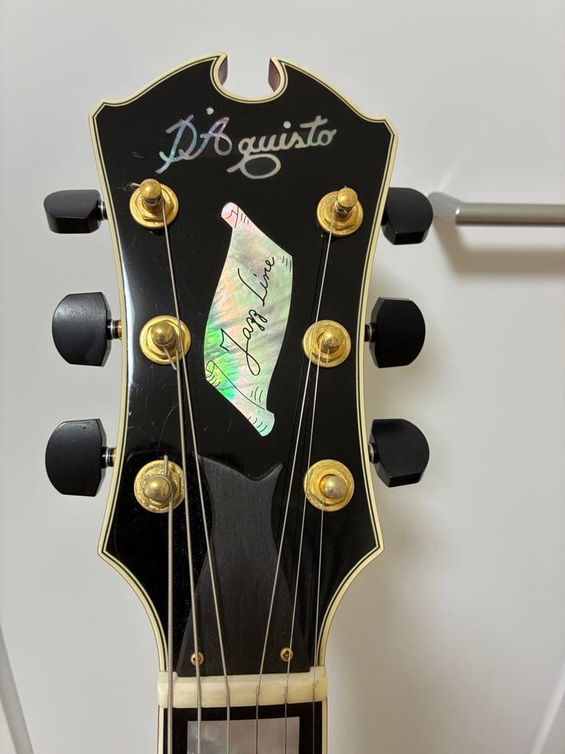 D'Aquisto Jazz Line JR / DiMarzio搭載