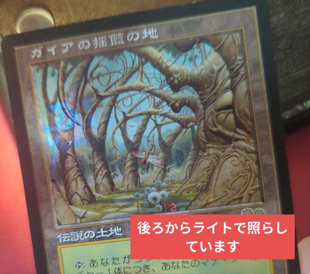 MTG　ガイアの揺籃の地　Gaea's Cradle　USG　日本語版