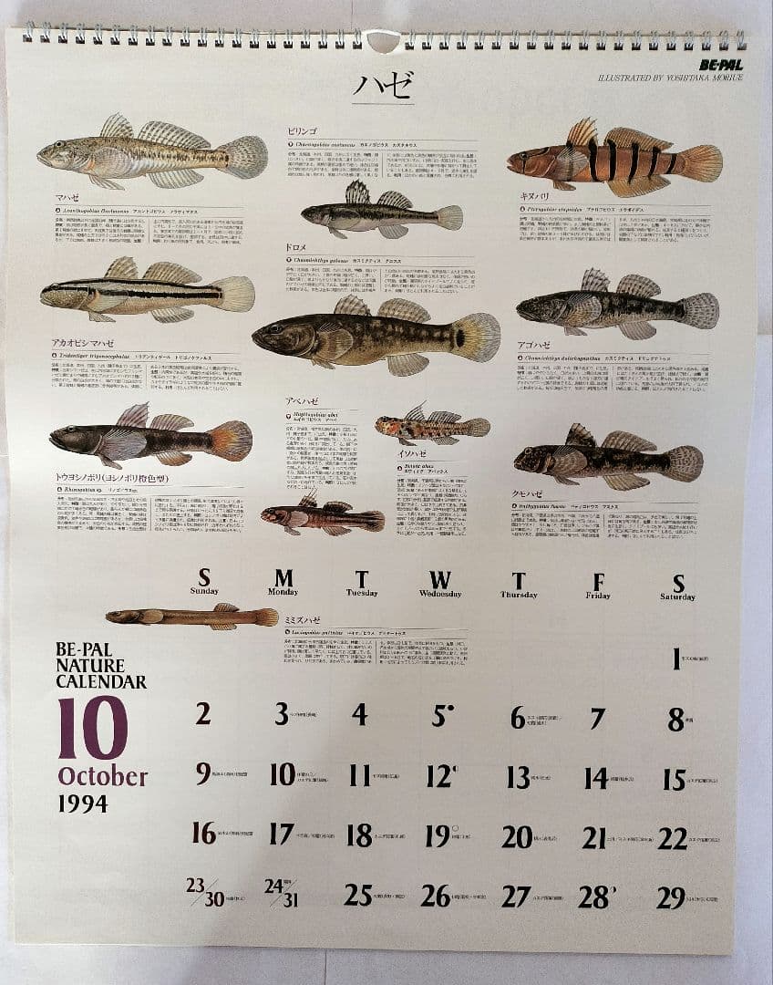 BE-PAL ビーパル カレンダー 新品未使用 1994年 ヴィンテージ