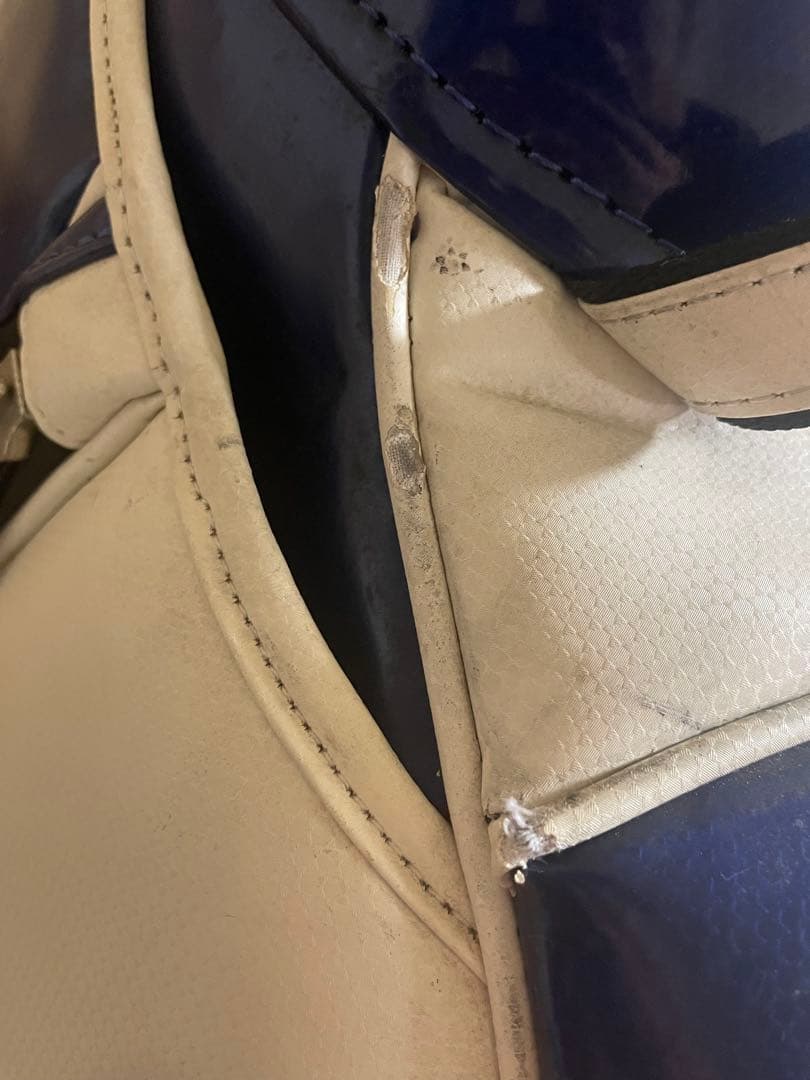 Mizuno プロモデルスタッフバッグ　3点式　キャディバッグ