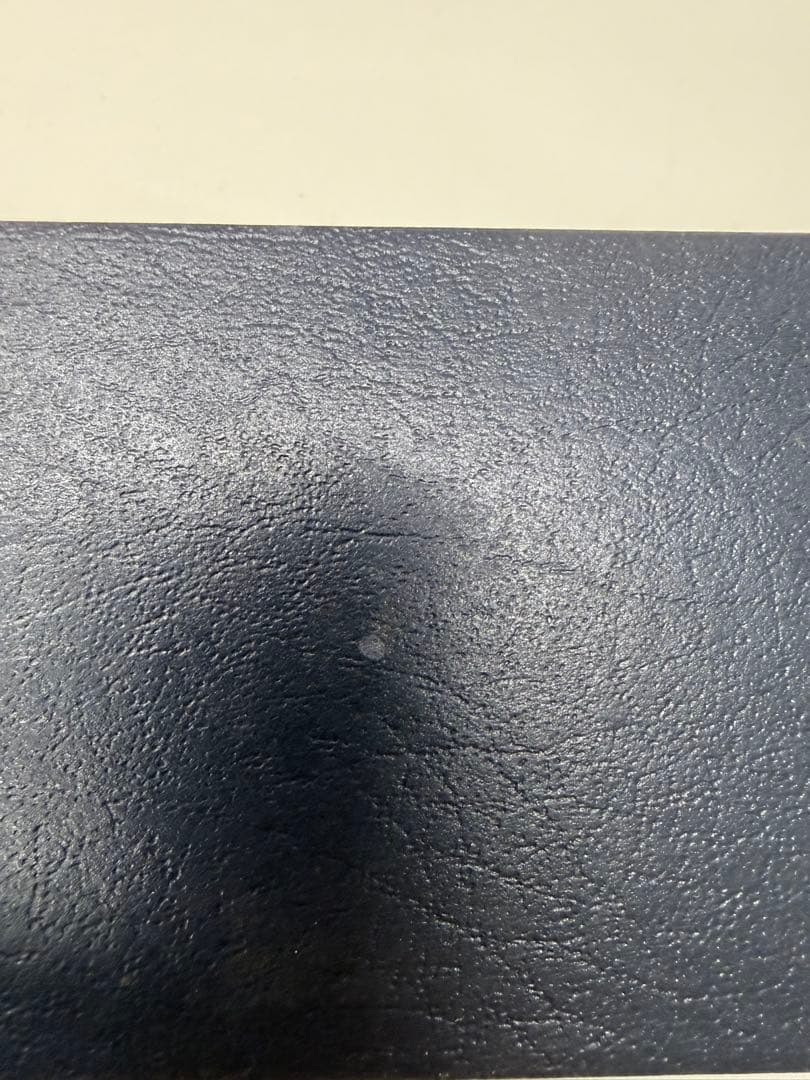 PLATINUM 14K万年筆 黒 ☆