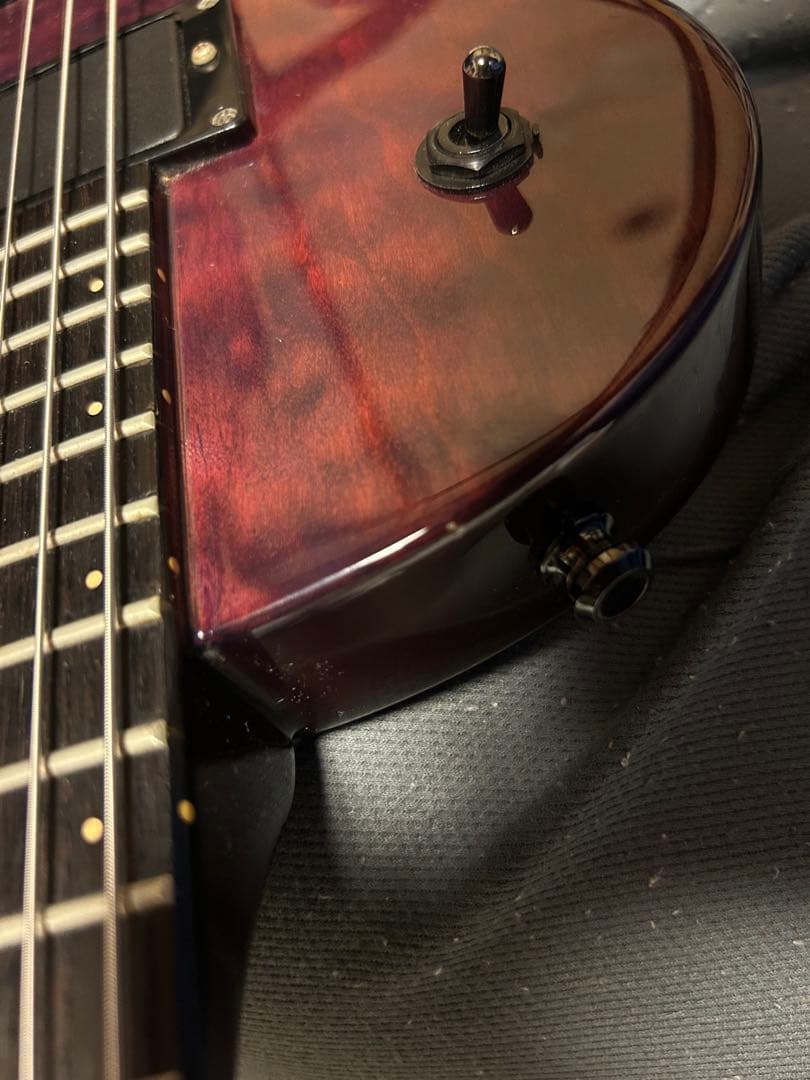 ギター Fernandes RE-180C