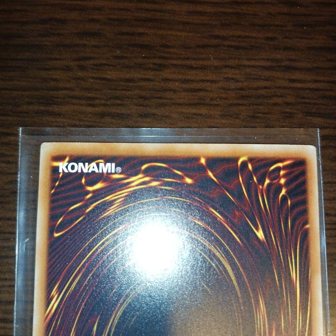 真紅眼の黒竜 ホロ