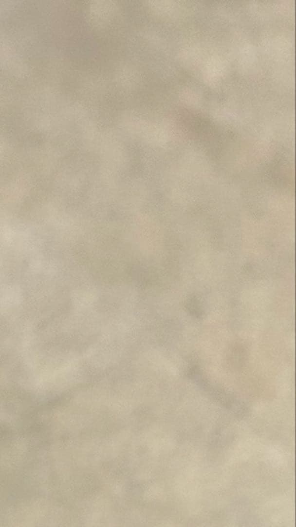 SJ b.eautifulとCanyon