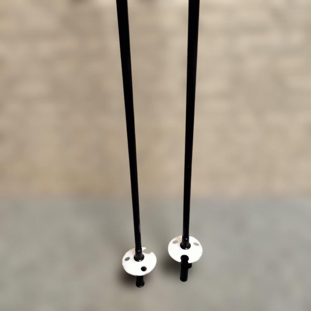 SALOMON サロモン X-Wing 3 スキー ポールセット160cm