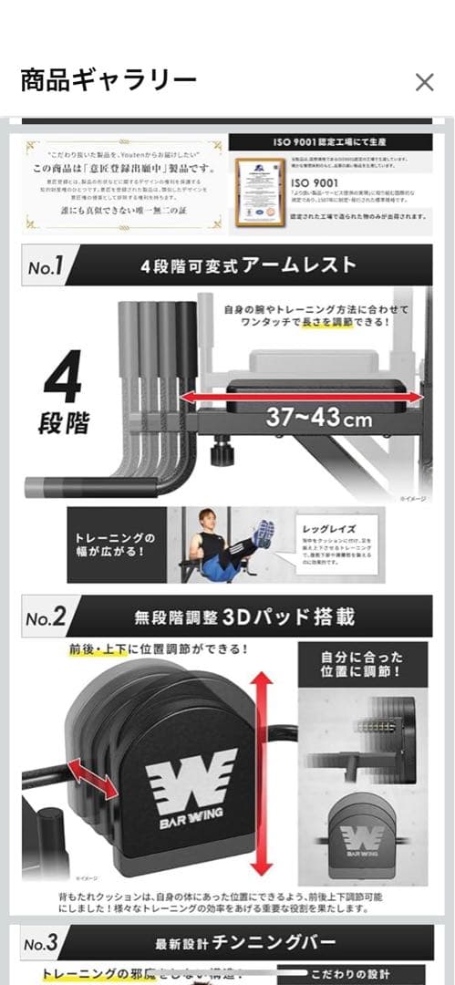 BARWING(バーウィング) ぶら下がり健康器