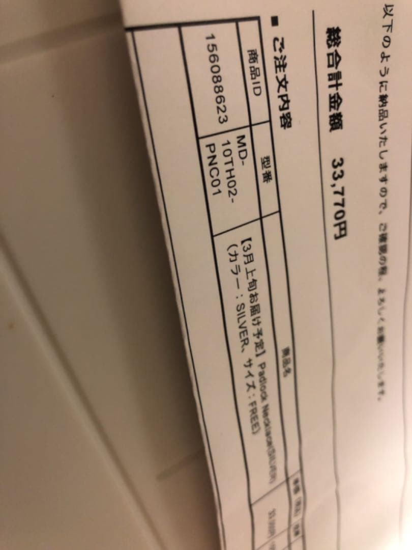 ピンズ・ピンバッジ・缶バッジ Padlock Necklace (SILVER)