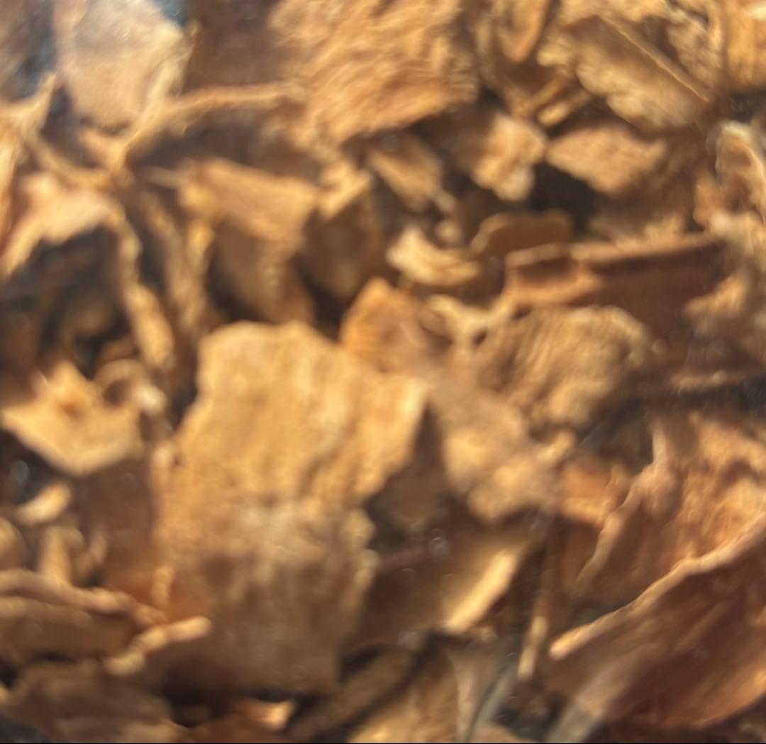 ボアカンガアフリカーナ　60g