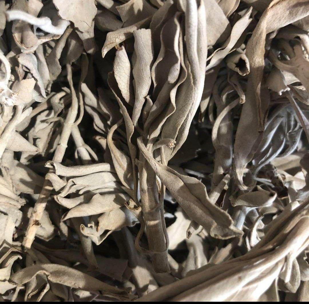 業務用価額☆無農薬ホワイトセージ枝付きクラスター1KGお香浄化☆お得長く使えます