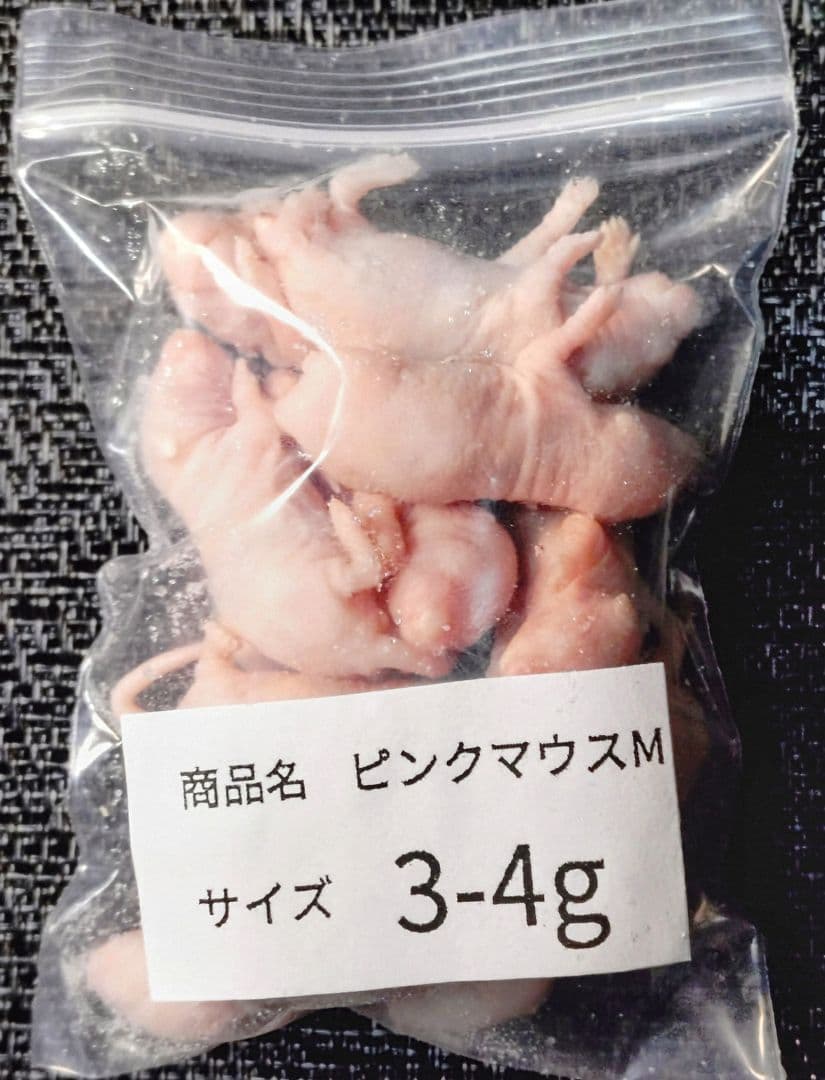 砂糖　送料無料　冷凍ピンクマウスM100匹　ピンクマウスＬ100匹