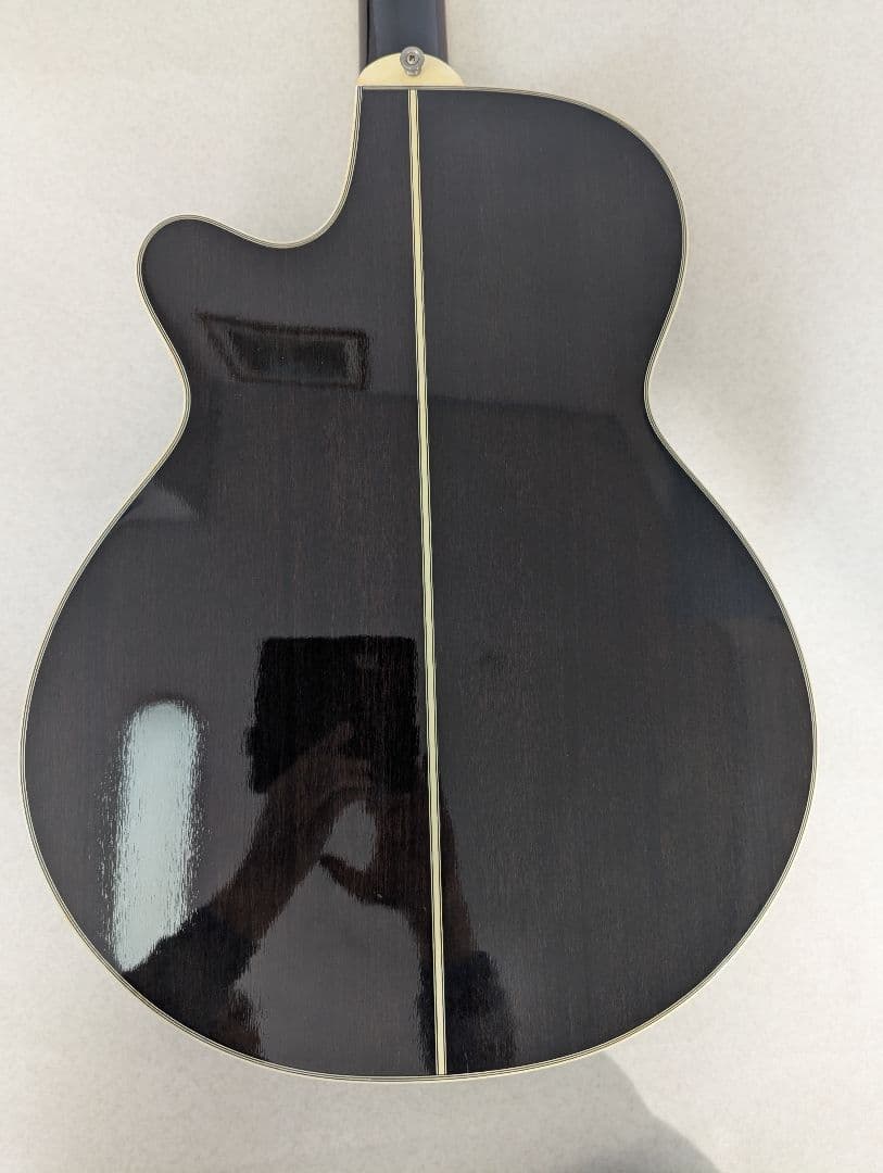 訳あり Takamine NPT110-12 12弦エレアコギター タカミネ