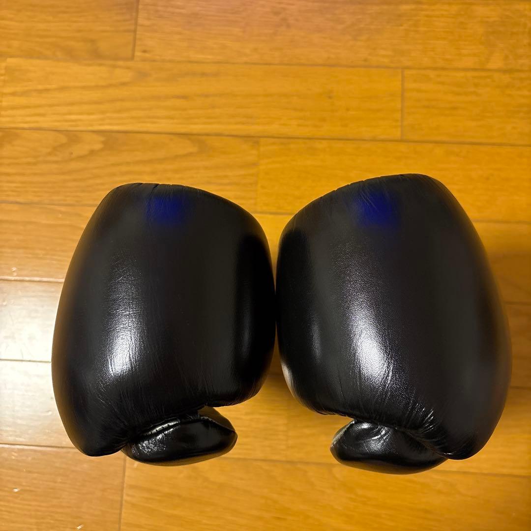 CLETO REYES プロフェッショナル ボクシンググローブ レイジェス 8