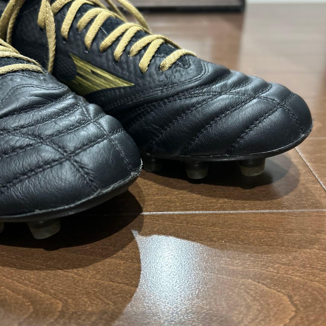 モレリアネオ4 β 24cm