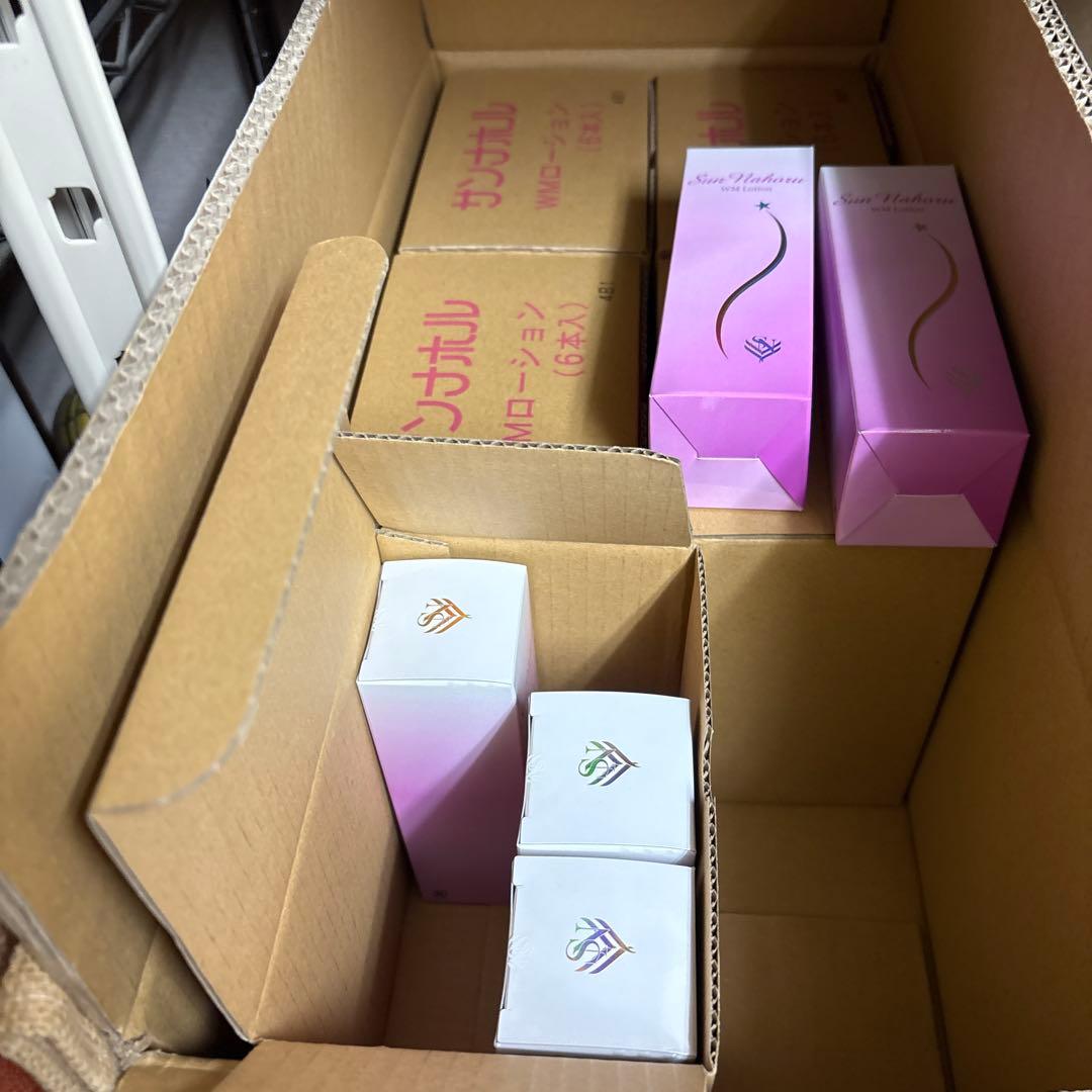 サンナホル　WMローション120ml 4本　分包他　商品案内説明書付き