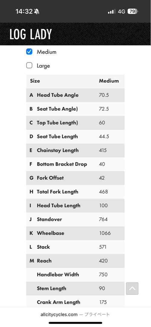 ALL CITY フレーム