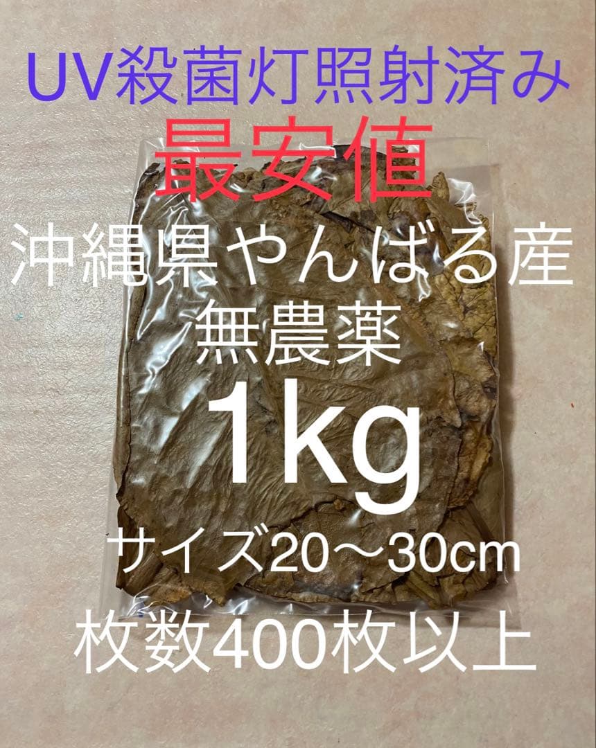 沖縄県やんばる産マジックリーフ 1kg UV殺菌灯照射済み④