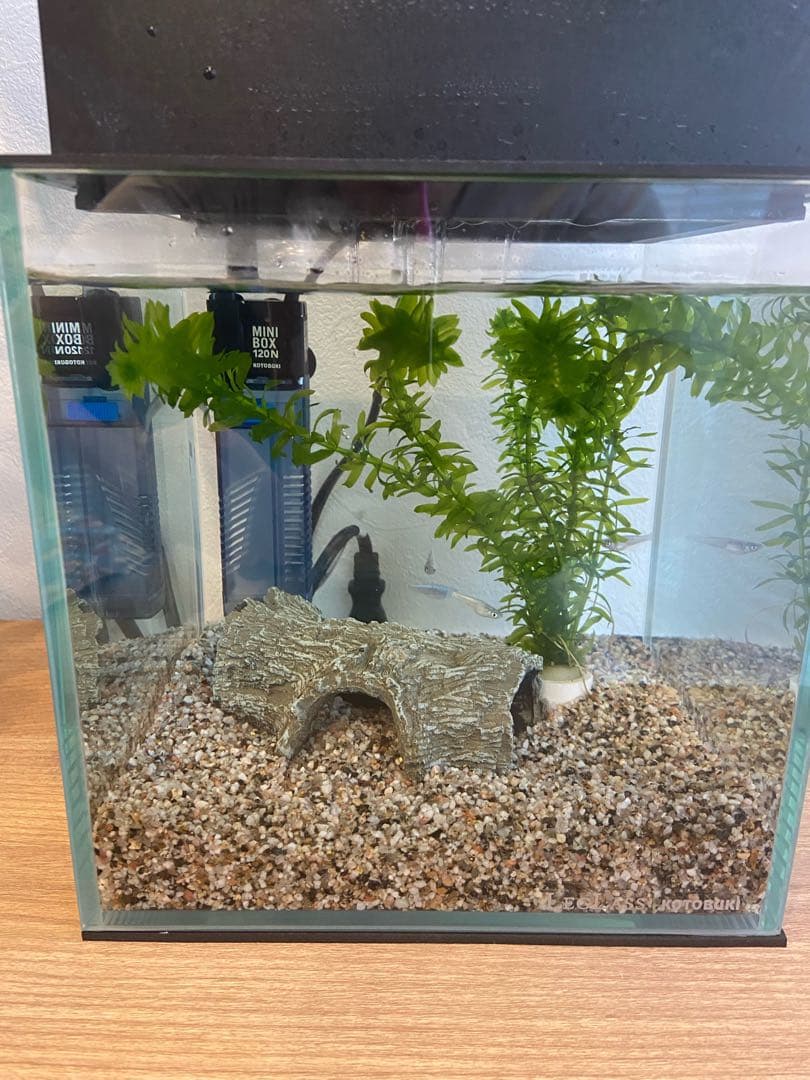 せせらぎビオトープ　20cm型