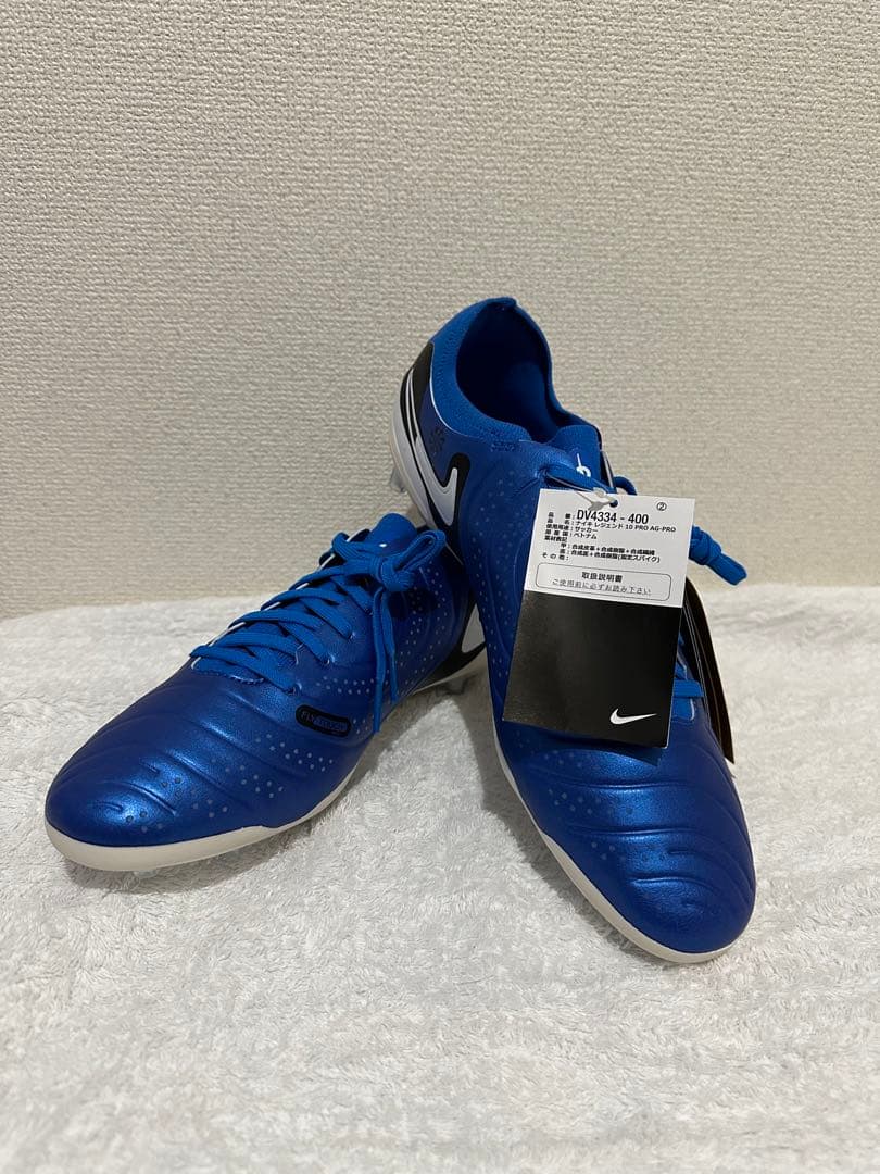 ナイキティエンポ　レジェンド10