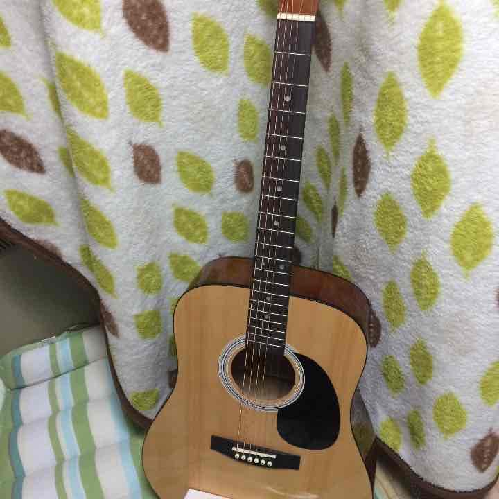 値下げしましたアコースティックギター PLAYTECH D4 ソフトケースセット