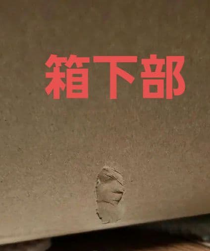 【値下げ中】【未使用未開封】ポケモン　ぬいぐるみ　等身大サーナイト