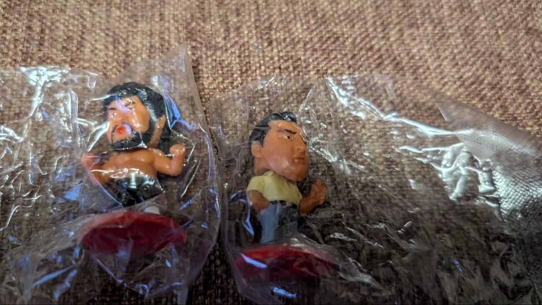 プロレスラー フィギュア10体セット　と渕正信