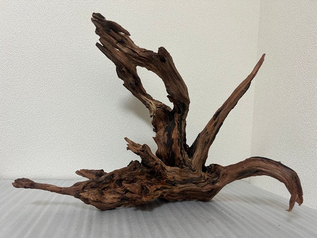 HX-079 流木　ホーンウッド　マシンガンウッド　アクアリウム　ブランチウッド