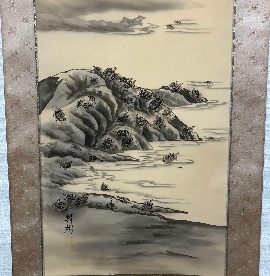 亀之図 尺三 掛軸 甲斐緑樹 落款印 箱 木箱付き 春光美術院