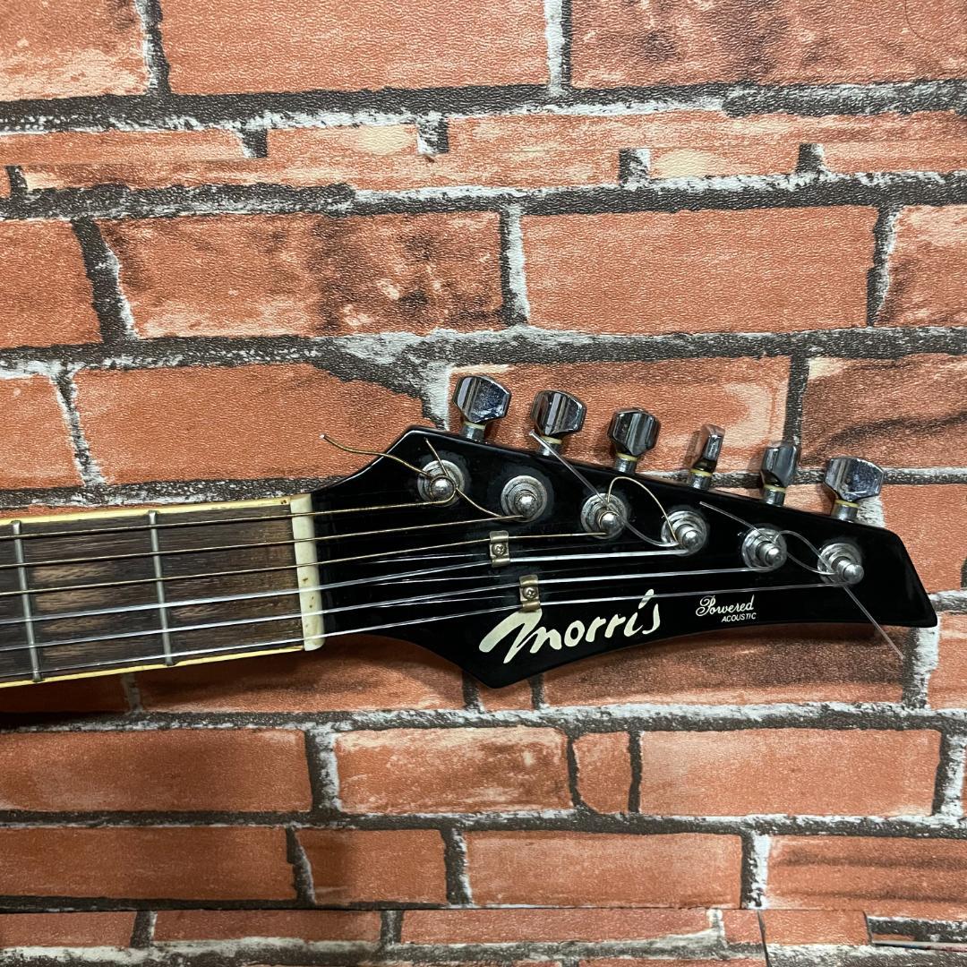 モーリス PA60 FBU（エレアコ）（専用ソフトケース付き）