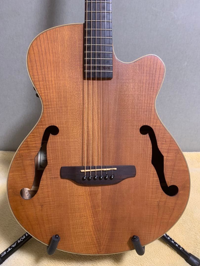 ARIA FET-F1 N エレアコ