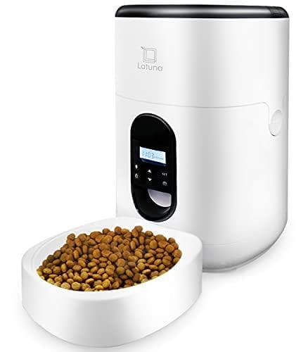 【人気】【小動物看護士監修】 自動給餌器 猫 餌 小動物用 自動餌やり機 給餌器