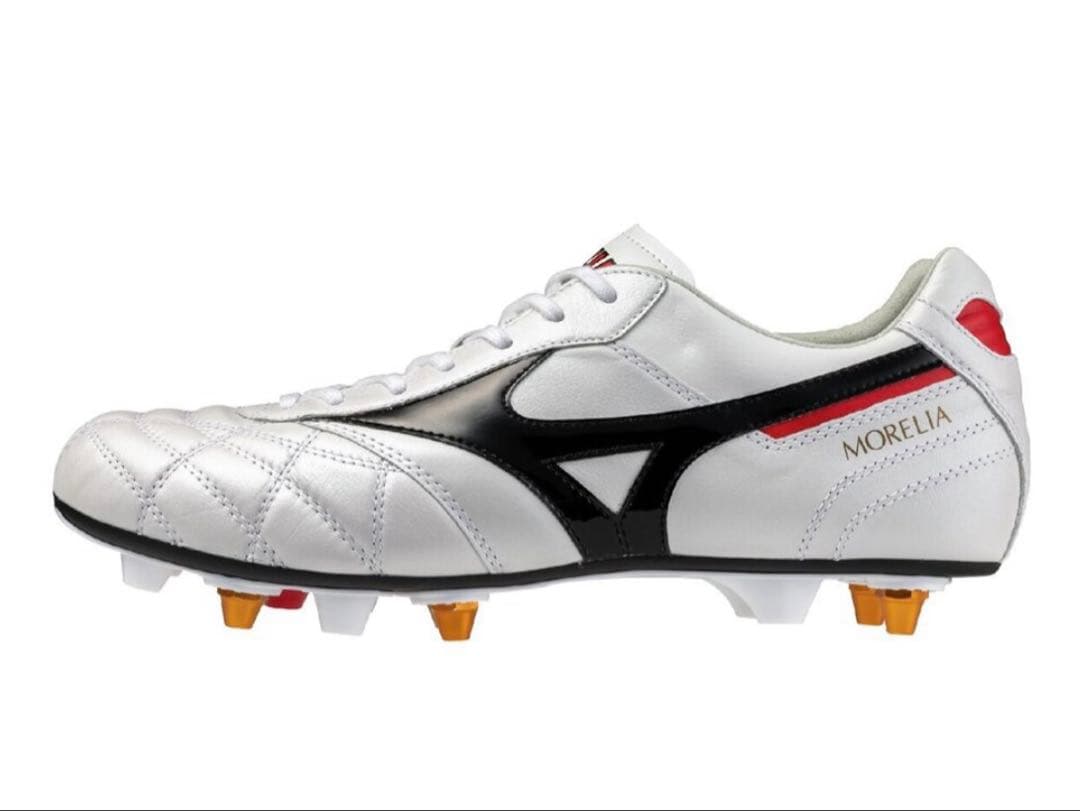 モレリア2JAPAN MIX取替式　24.5cm