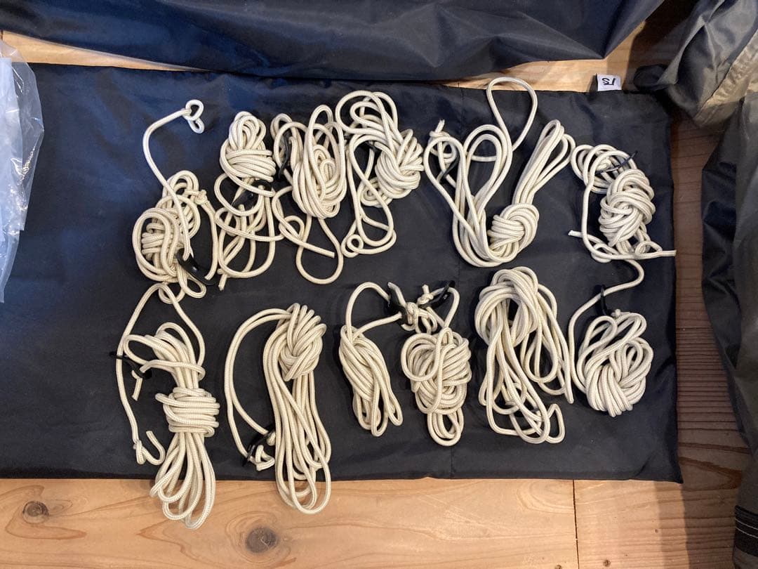 サバティカル　アルニカ