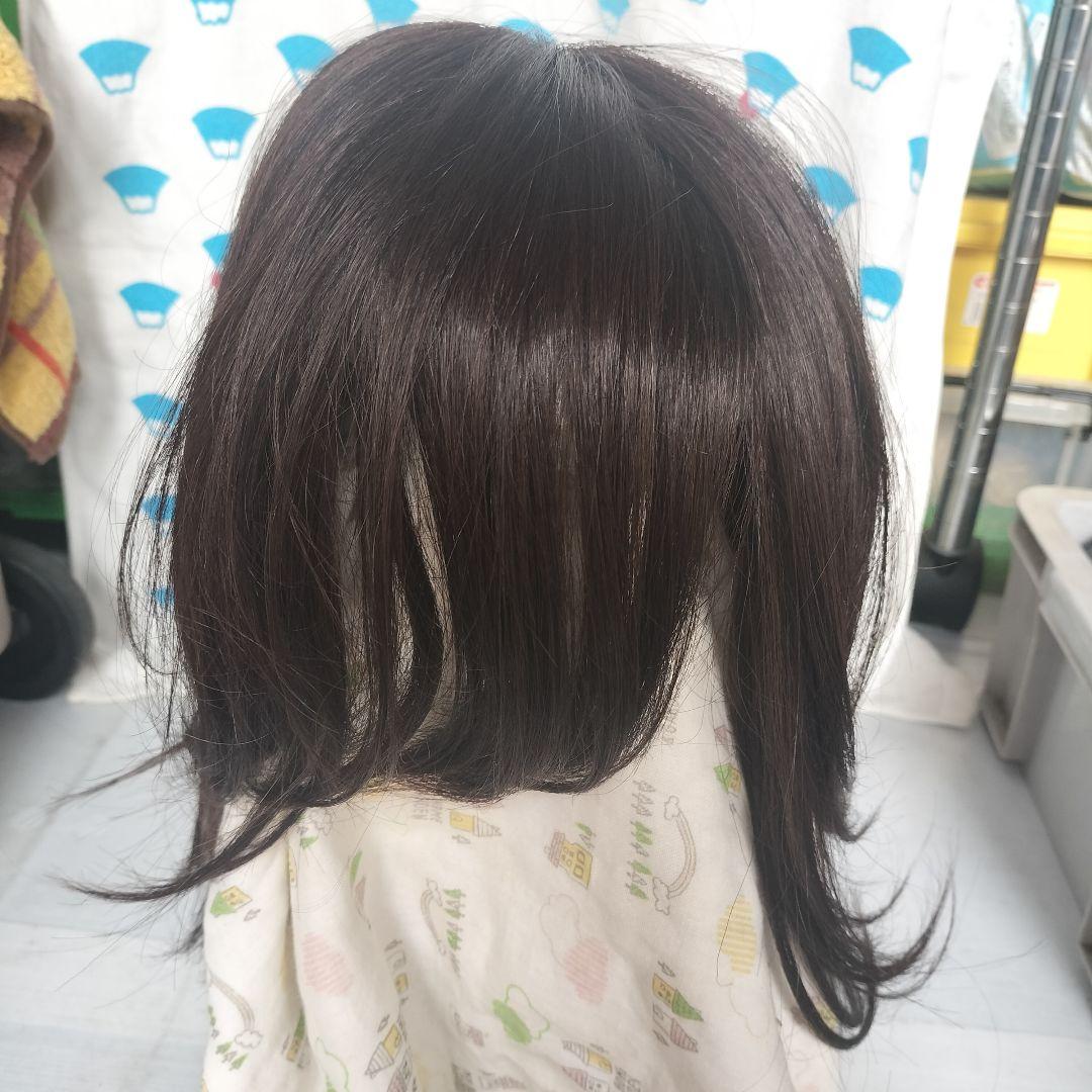 新品未使用 医療用ウィッグ ラフラ RM24NG カラー F10