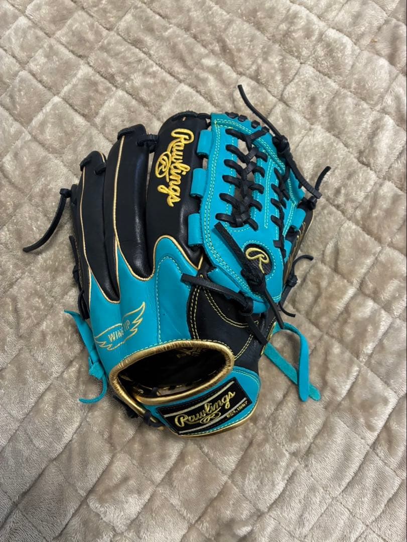 Rawlings 軟式グローブ 青/黒