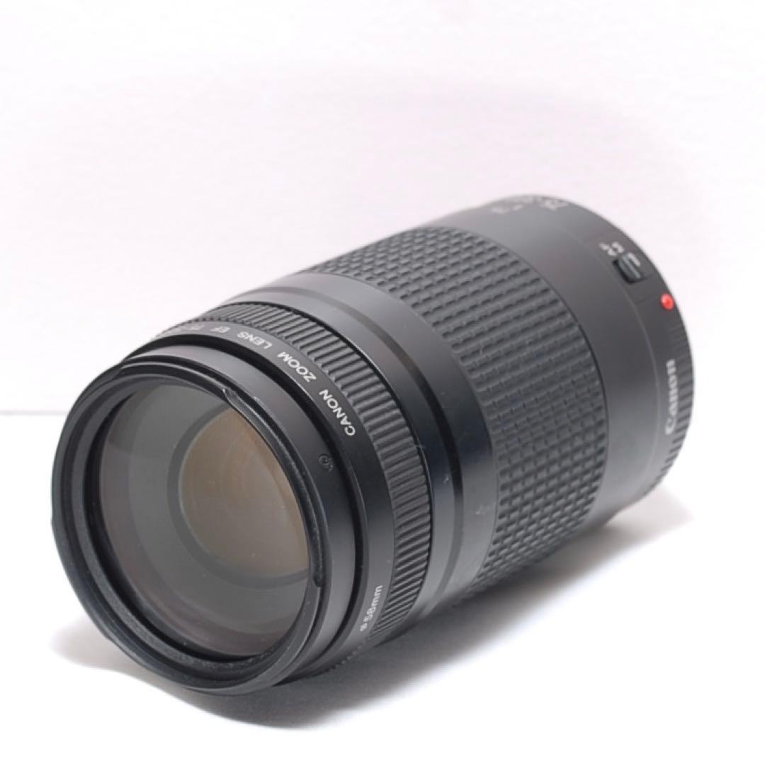 ✨超望遠レンズセット✨キャノン EOS 7D✨ 中級モデル✨高速連写機能✨