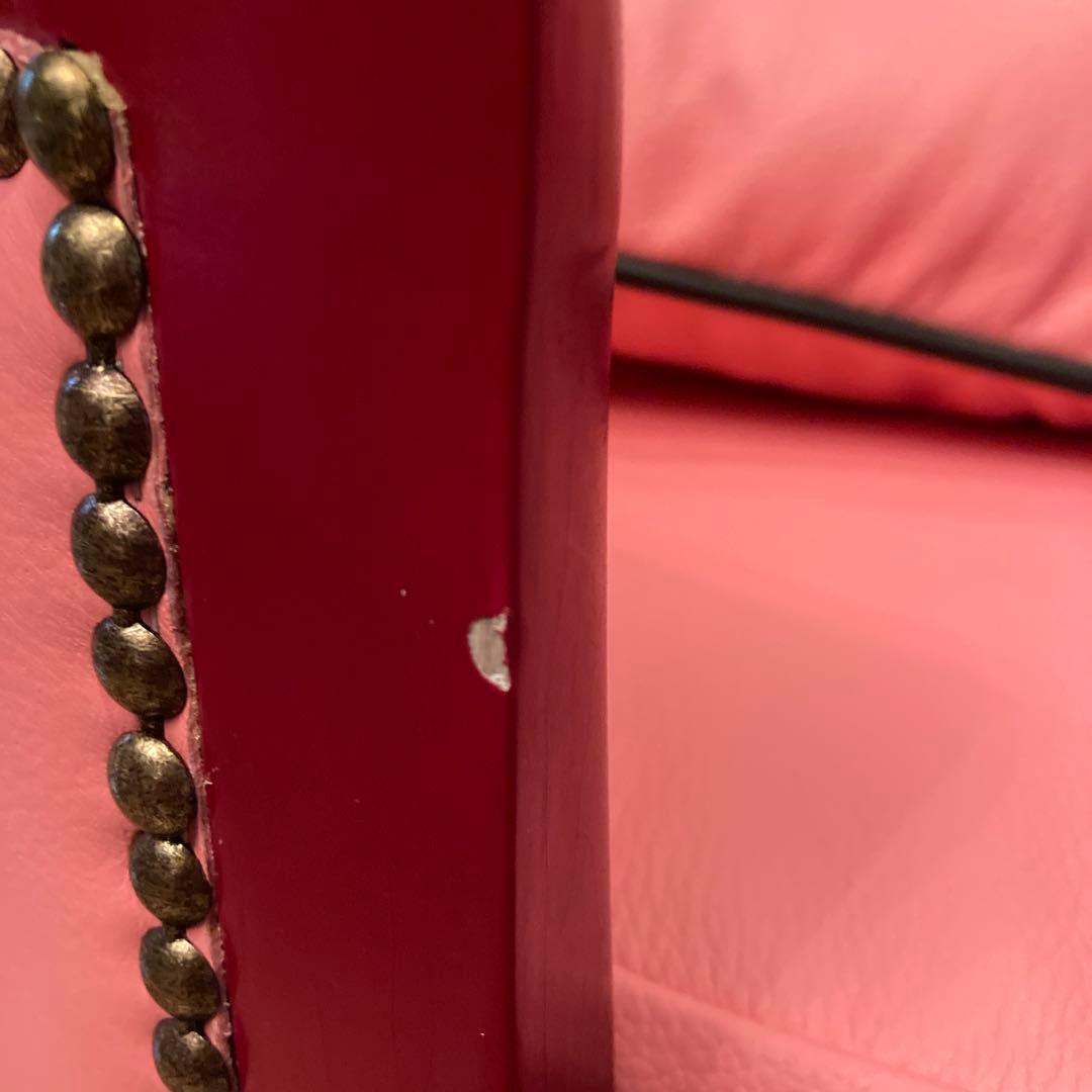 ピンクサロン小型犬