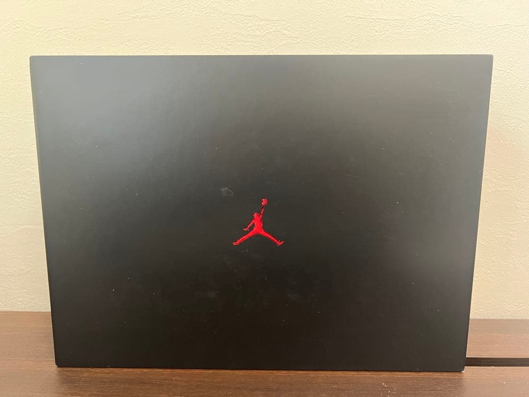 Air Jordan 40 バッシュ 30cm Jordan Brand 箱付き