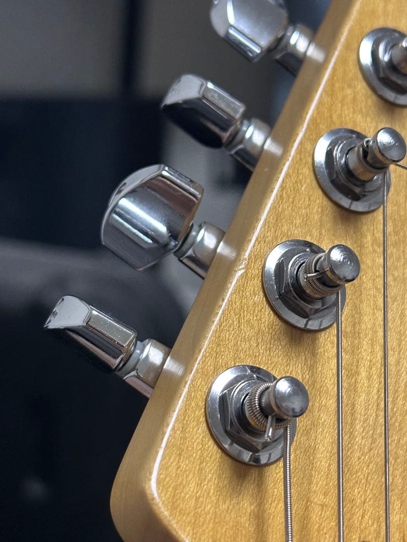 ギター Fender Professional II Stratocaster