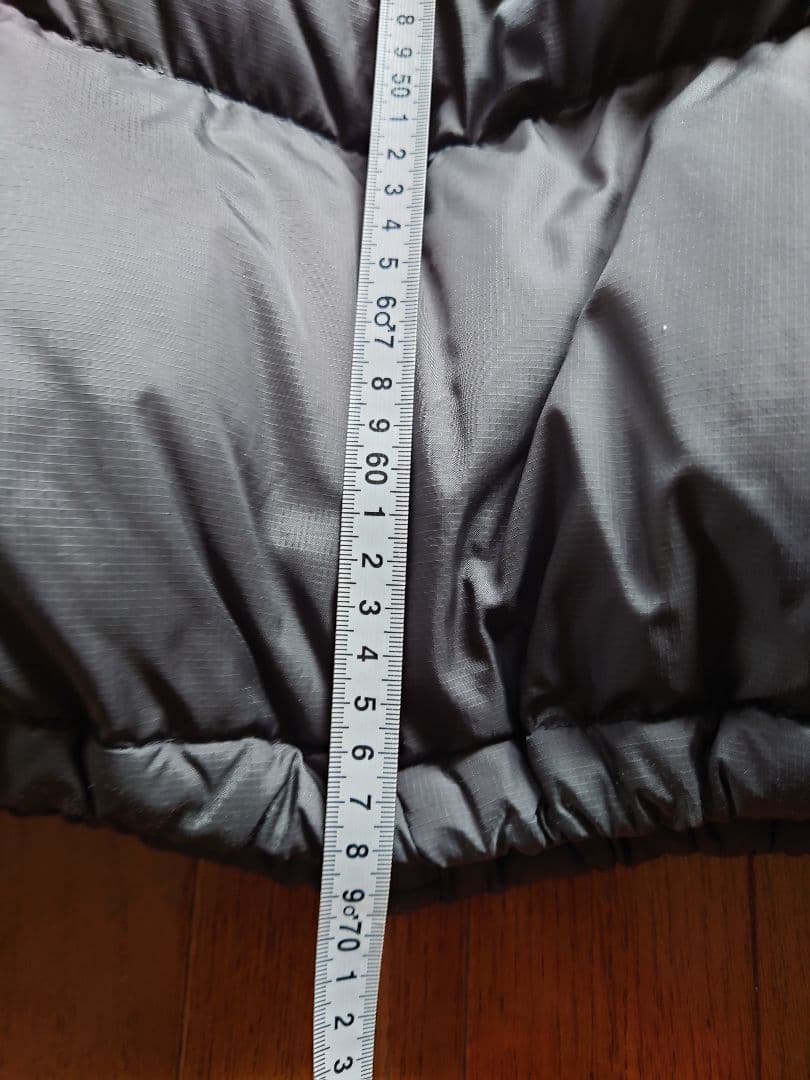 ノースフェイス.ヌップシダウンジャケット　 Ｌサイズ(ガンメタグレー)