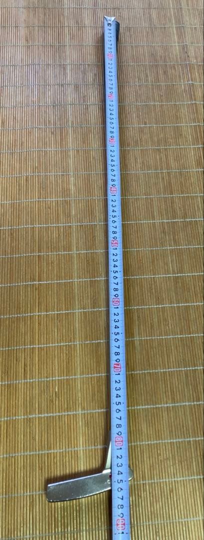 スコッティキャメロン タイトリスト パター　プロプラチナム ラグーナ2 ゴルフ