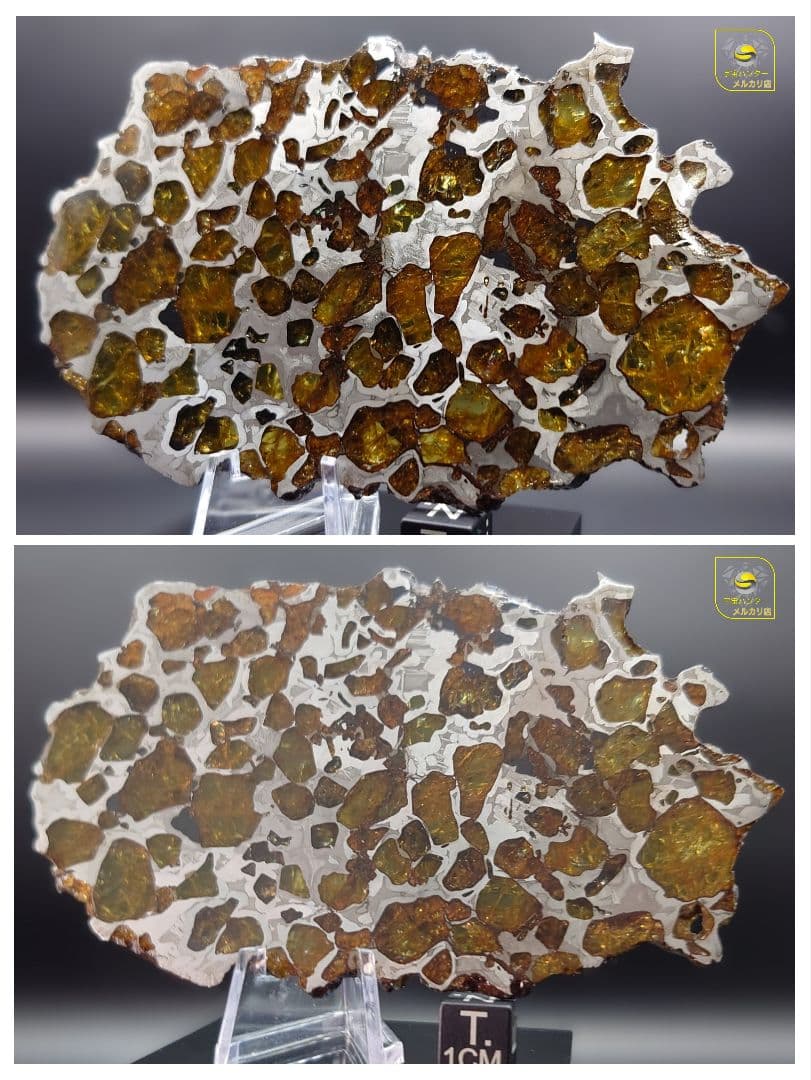 ✨イミラック パラサイト 隕石 70g ⭐⭐