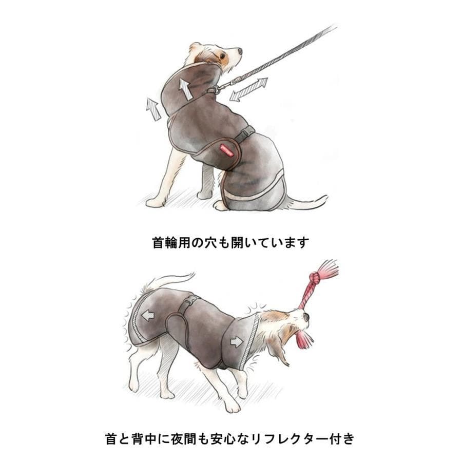 ポムッパ　ペルス　ペトロール　サイズ65